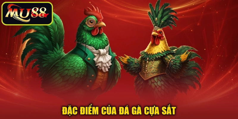Đặc điểm của đá gà cựa sắt