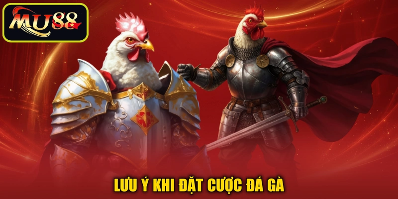 Lưu ý khi đặt cược đá gà