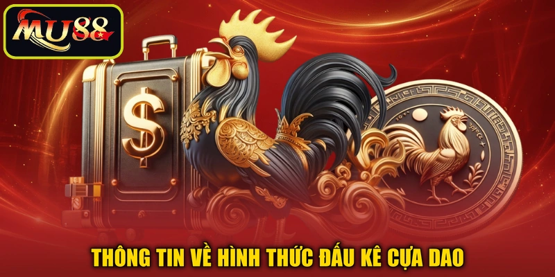 Thông tin về hình thức đấu kê cựa dao